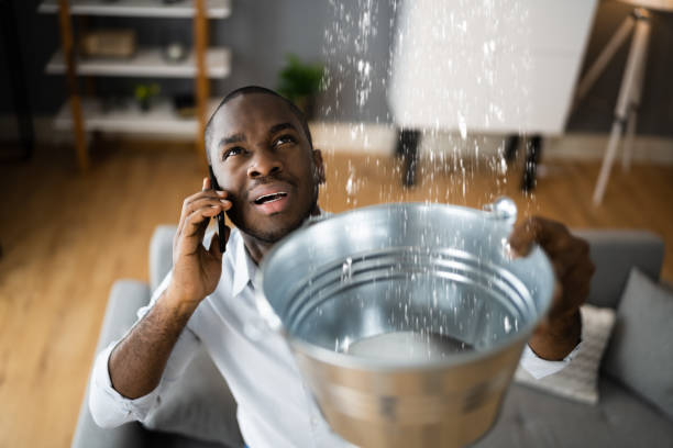 Best Local water damage restoration  in Aumsville, OR
