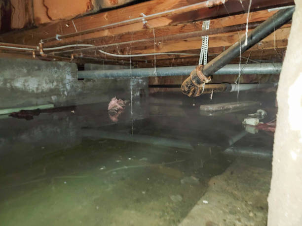 Best 24/7 water damage repair  in Aumsville, OR