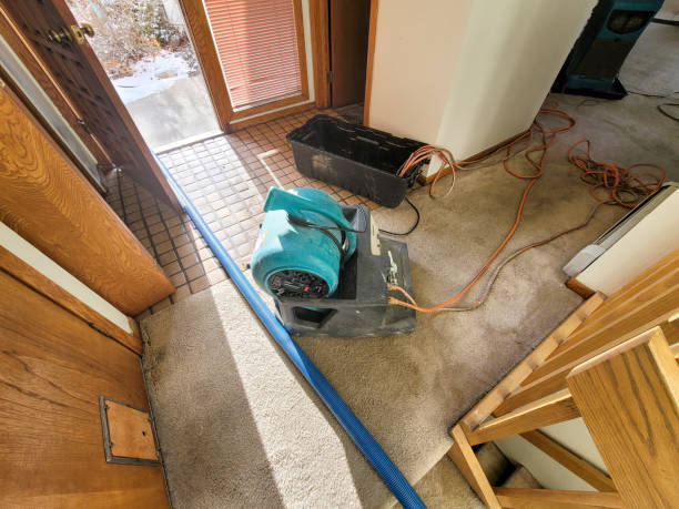 Local water damage restoration in OR