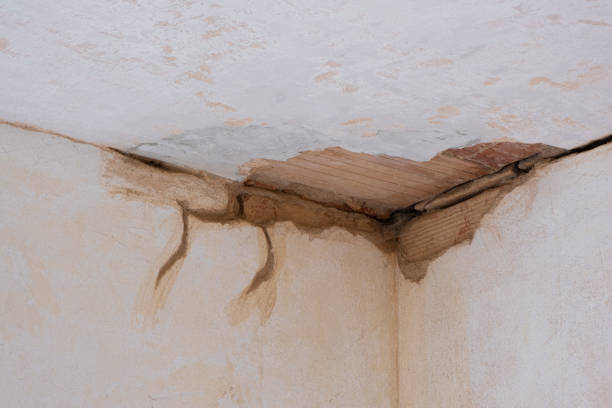 Best Sewage cleanup and water damage restoration  in Aumsville, OR